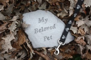 Pet Loss Grief Recovery