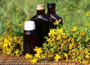 St. John's Wort Plants and flowers laying around three brown medicine bottles