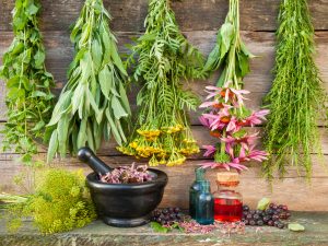 bunches of healing holistic healthcare herbs on wooden wall, mortar with dried plants and bottles, herbal medicine