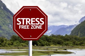 A red stop sign that says "Stress Free Zone"