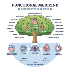 The Functional Medicine tree is an important part of Holistic Nursing Training!