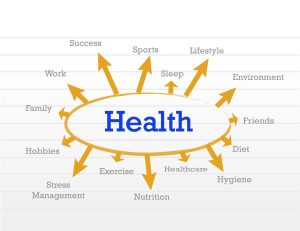 A diagram showing the various parts of Holistic Healthcare