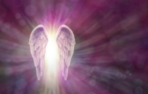 Angel wings on a pink background