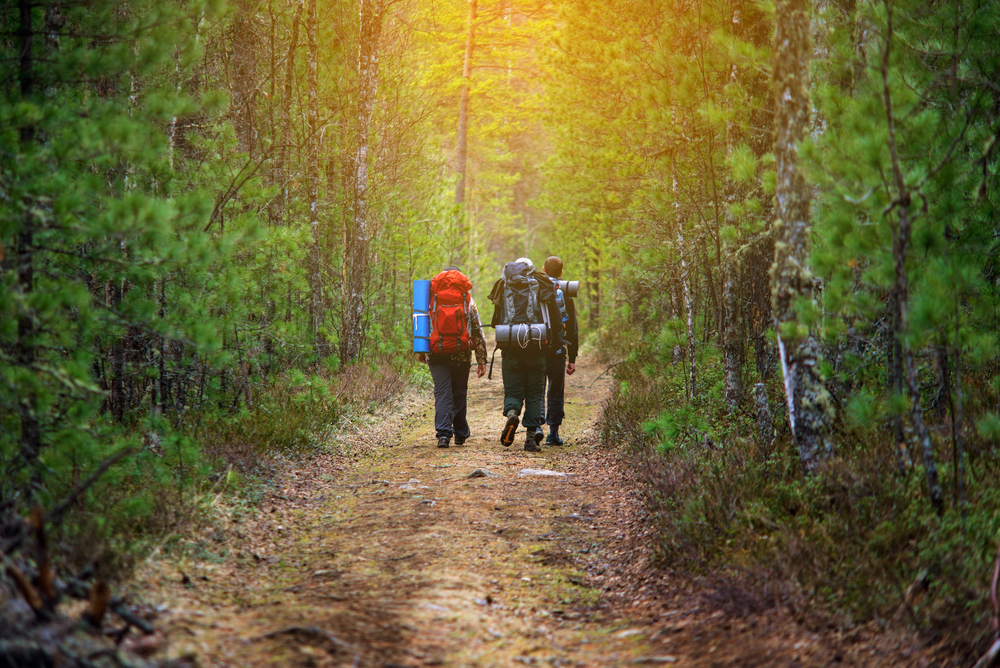 Group of friends walking with backpacks in sunset