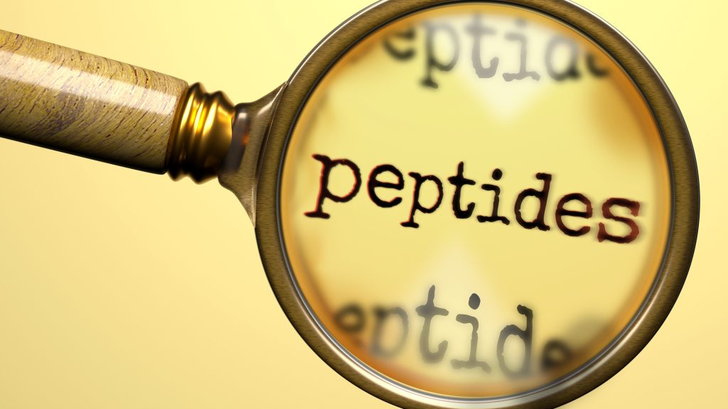 Peptides under magnifying glass. Thorough analysis and inspection of peptides. Taking a closer look at peptides. Examination of the concept of peptides